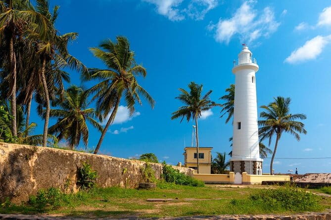 Southern Sri Lanka Sightseeing Day Trip From Colombo & Negombo - Key Points