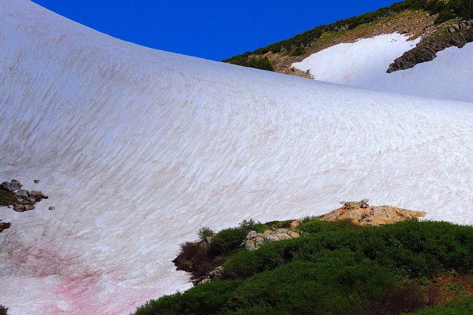 Glacier Hiking & Geothermal Cave Pools Tour - Exploring the Hot Springs at Indian Hot Springs