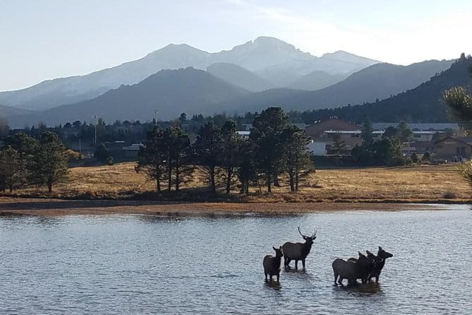 Rocky Mountain National Park and Estes Park Tour from Denver Winter and Spring - Transport and Group Size
