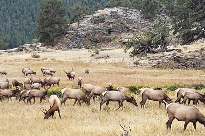 Rocky Mountain National Park and Estes Park Tour from Denver Winter and Spring - Who Will Love This Tour?