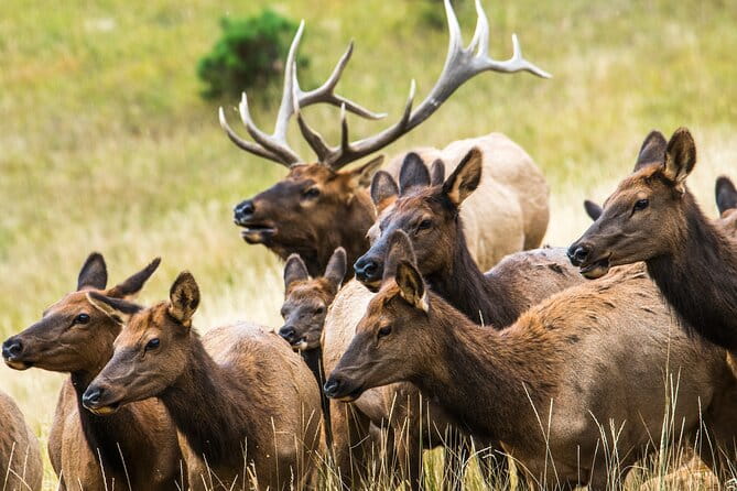 Discover Rocky Mountain National Park - FAQ