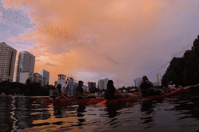 Guided Sunset Bat Kayak Tour in Austin - The Sum Up