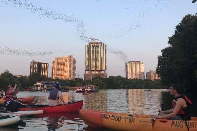 Congress Avenue Bat Bridge Kayak Tour in Austin - Practical Details and Tips