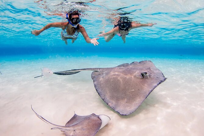 Starfish and Stingray City Fun Tour with Reef Snorkeling- 3 stops - Who Might Want Something Different?