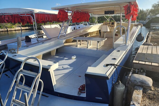 Starfish and Stingray City Fun Tour with Reef Snorkeling- 3 stops - Who Will Love This Tour?