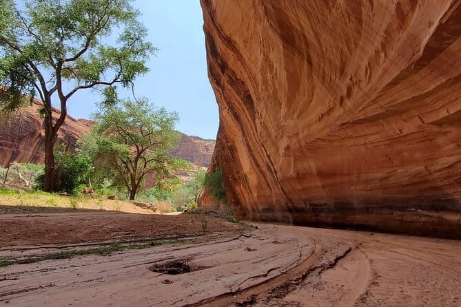 3 hour Private Tour in Chinle - What the Reviews Reveal