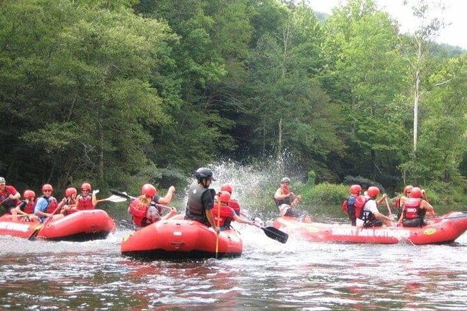 Lower Pigeon River Rafting Tour - Price and Value