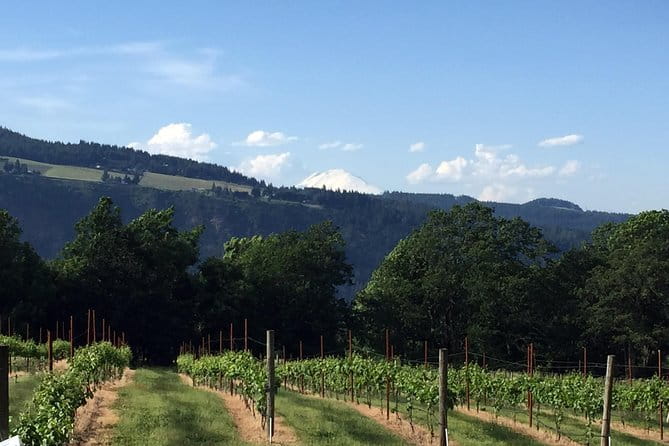 Full-Day Mt Hood Waterfall Tour with Lunch and Wine Included - In The Sum Up