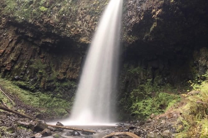 Multnomah Falls and Columbia River Gorge Half-Day Hiking Tour - What Travelers Love and What Could Be Better