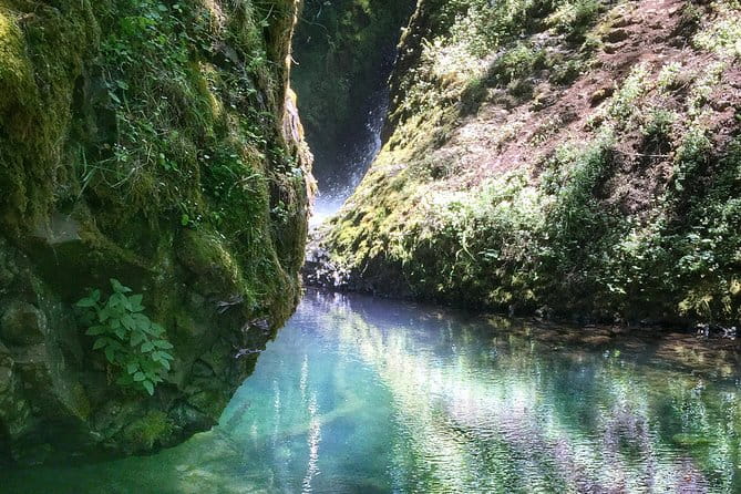 Multnomah Falls and Columbia River Gorge Half-Day Hiking Tour - Why This Tour Offers Great Value