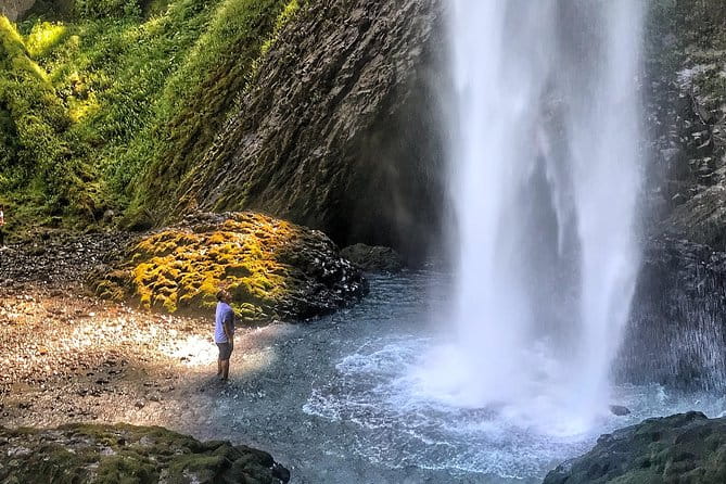 Multnomah Falls and Columbia River Gorge Half-Day Hiking Tour - Who Will Appreciate This Tour Most?