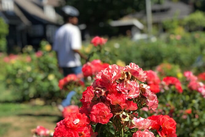 Bike Around Portland Oregon: Art, Culture, Bridges, Poetry - The Sum Up