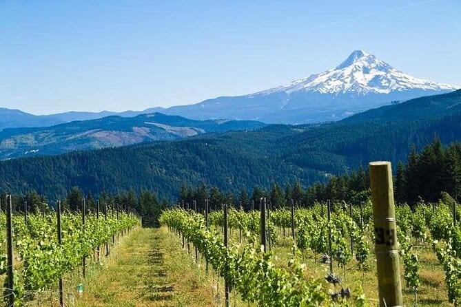 Columbia River Gorge Waterfall Tour from Portland - FAQs