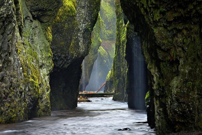 Columbia Gorge Waterfalls and Mt. Hood Tour - Full Day - Final Thoughts on the Experience