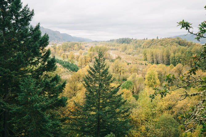 Afternoon Half-Day Multnomah Falls and Columbia River Gorge Waterfalls Tour from Portland - Latourell Falls: Closer to the Water’s Edge