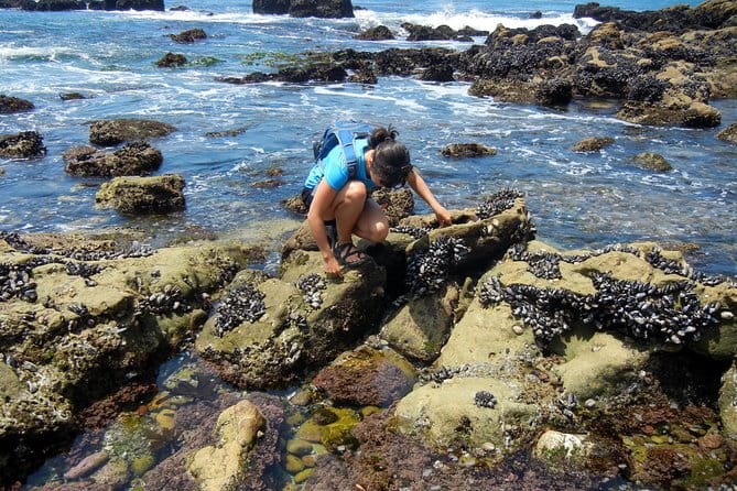 Oregon Coast Tour from Portland - Frequently Asked Questions