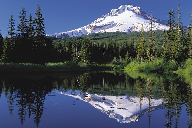 Columbia River Gorge Waterfalls & Mt Hood Tour from Portland, OR - Price and Value