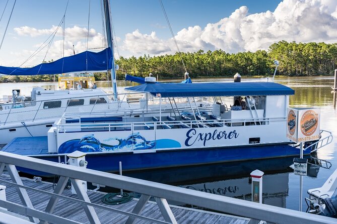 2-Hour Dolphin and Nature Eco Tour from Orange Beach - The Experience and What You’ll Appreciate