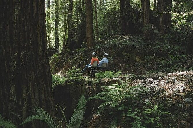 Redwoods Railbike Along Pudding Creek - The Experience’s Value and Practicalities