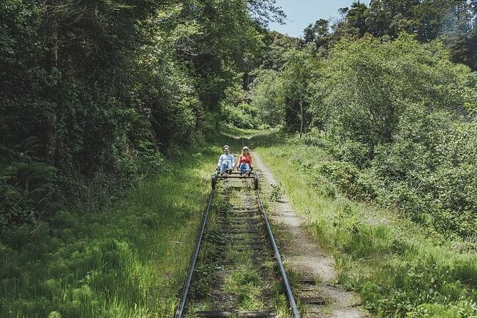 Redwoods Railbike Along Pudding Creek - Who Will Love This Tour?