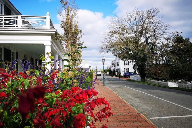 3-Hour Martha's Vineyard Island Tour from Oak Bluffs - What Do the Reviews Say?