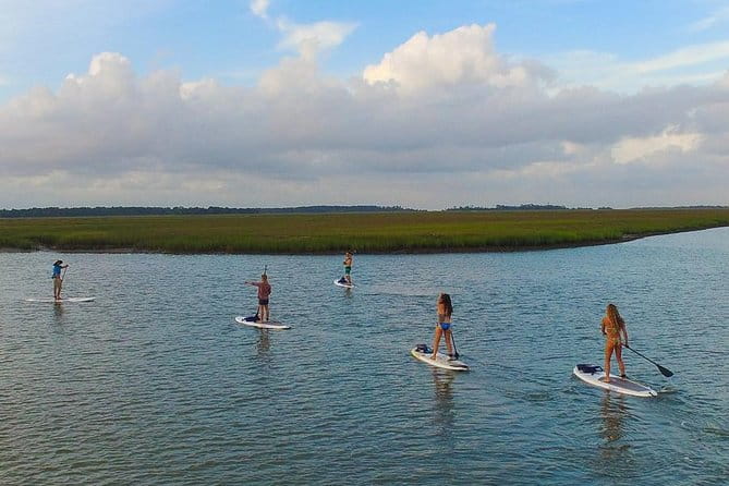 Charleston Stand-Up Paddleboard Eco Tour - The Bottom Line