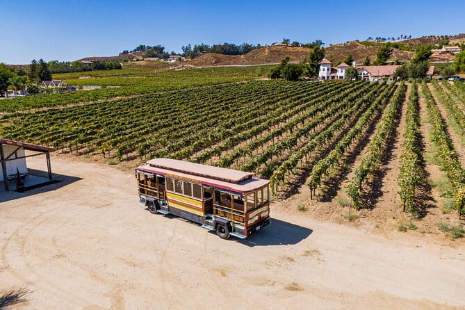 All-Inclusive Social Wine Tour - A Deep Dive into the Tour Experience