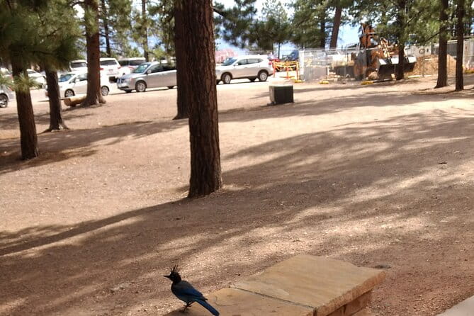 Bryce Canyon E-bike Tour - What Travelers Are Saying