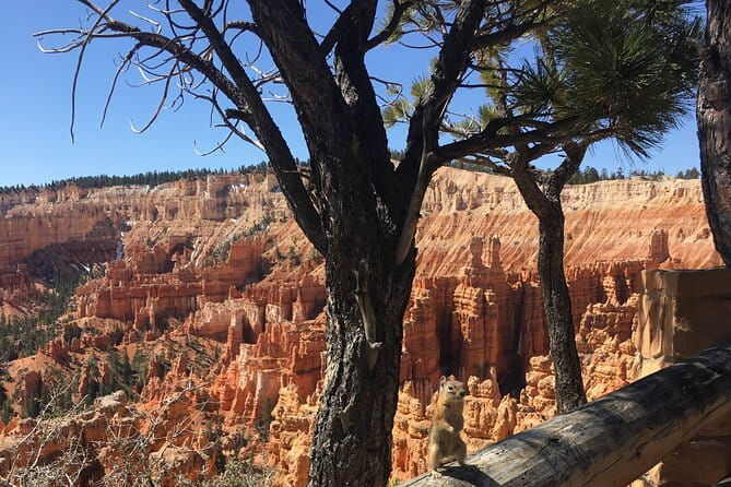 Bryce Canyon E-bike Tour - FAQ