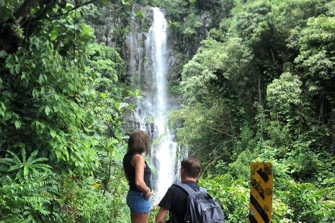 Road to Hana: Full-Day Scenic Drive with Blacksand & Waterfalls - The Experience: Comfort, Food, and Knowledge