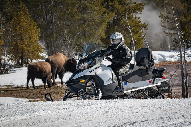 Yellowstone Old Faithful Full-Day Snowmobile Tour from Jackson Hole - Authentic Feedback from Travelers