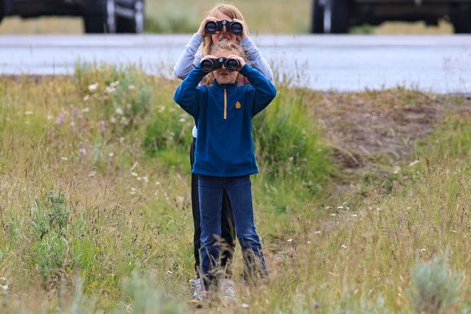 Best of Yellowstone - Guided National Park Safari Tour - Pricing & Value