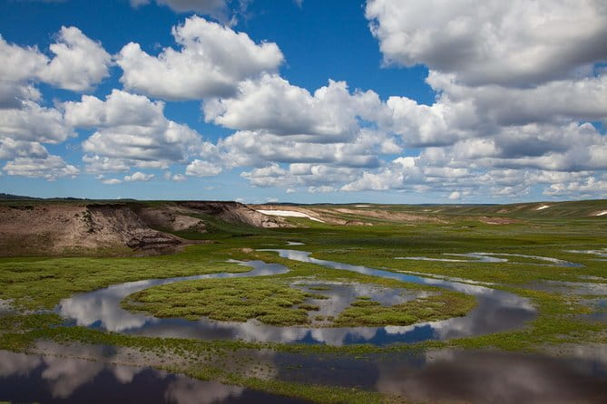 Best of Yellowstone - Guided National Park Safari Tour - Final Thoughts