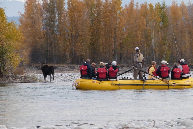 Snake River Scenic Float Trip with Teton Views in Jackson Hole - Why This Tour Works Well