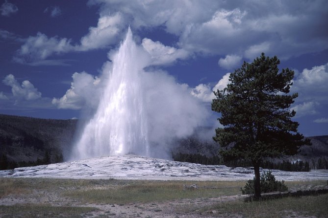 Yellowstone Lower Loop Full-Day Tour - The Sum Up