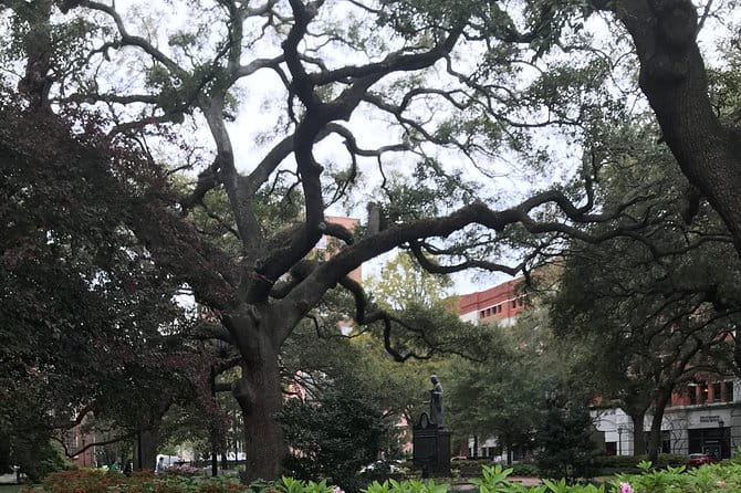 Welcome to Savannah Guided Walking Tour - Frequently Asked Questions
