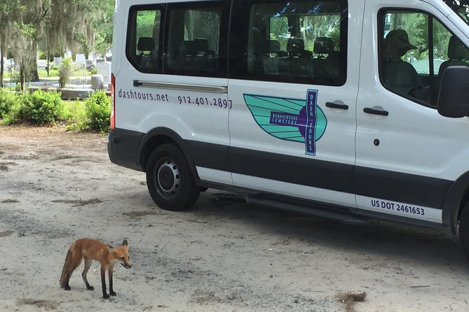 Bonaventure Cemetery Walking Tour with Transportation - The Sum Up: Who Is This Tour Best For?