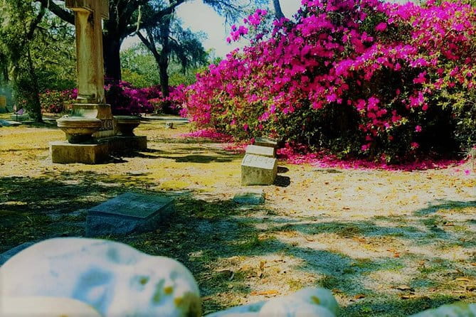 Bonaventure Cemetery Is Forever Tour - Who Will Love This Tour?