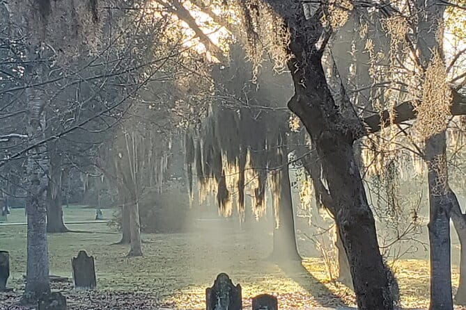 Savannah History and Haunts Candlelit Ghost Walking Tour - Cost and Value