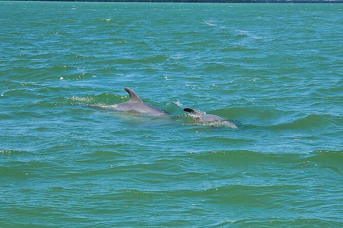 Sunset Dolphin Cruise with Sanibel Lighthouse Views - The Complete Itinerary
