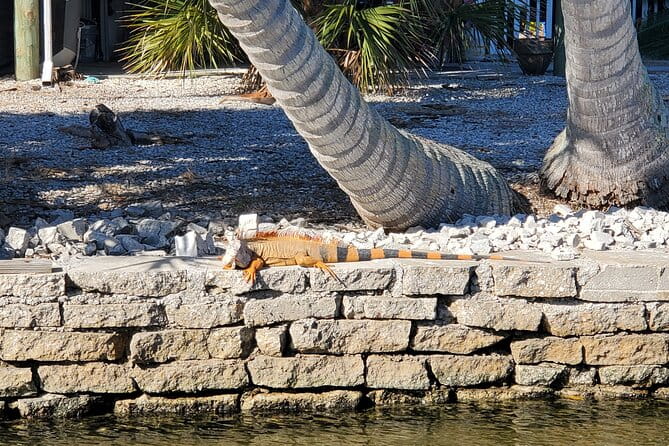 Sunset Dolphin Cruise with Sanibel Lighthouse Views - Who Should Skip This Tour