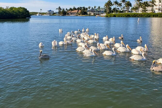 Sunset Dolphin Cruise with Sanibel Lighthouse Views - FAQ