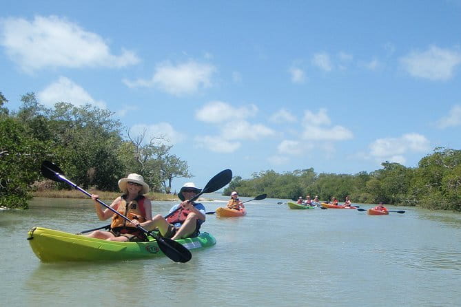 Guided Kayak Eco Tour - Bunche Beach - What to Expect from the Tour