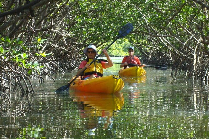 Guided Kayak Eco Tour - Bunche Beach - Final Thoughts