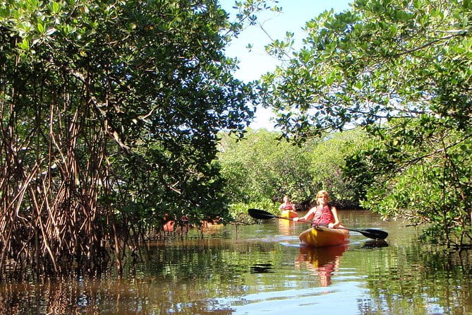 Guided Kayak Eco Tour - Bunche Beach - FAQ