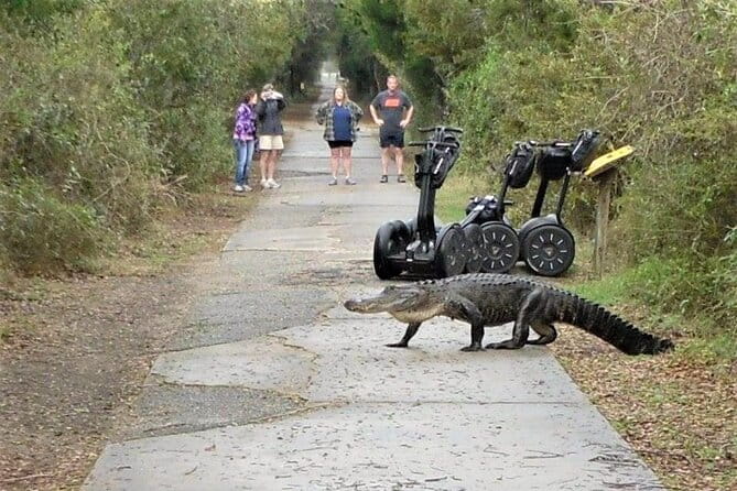 2-Hour Guided Segway Tour of Huntington Beach State Park in Myrtle Beach - Cost and Value