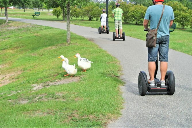 2-Hour Guided Segway Tour of Huntington Beach State Park in Myrtle Beach - Practical Tips for Travelers