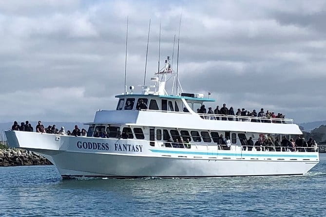 Monterey Bay Whale Watching - The Itinerary in Detail