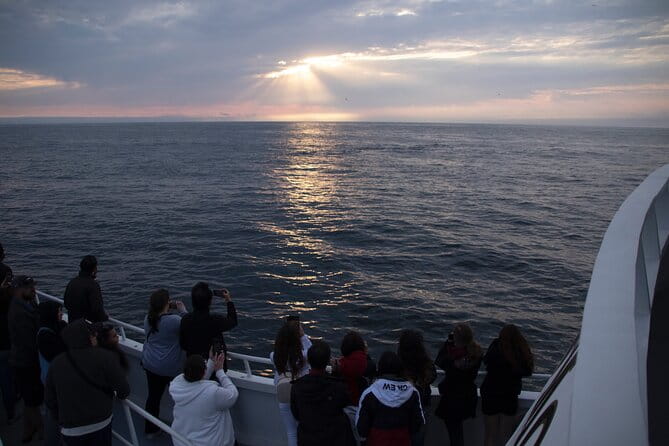 Monterey Whale Watching Tour - Final Thoughts