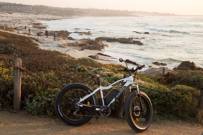 Monterey's 17 Mile Drive Electric Bike Tour, 2.5-3 hour - The Sum Up